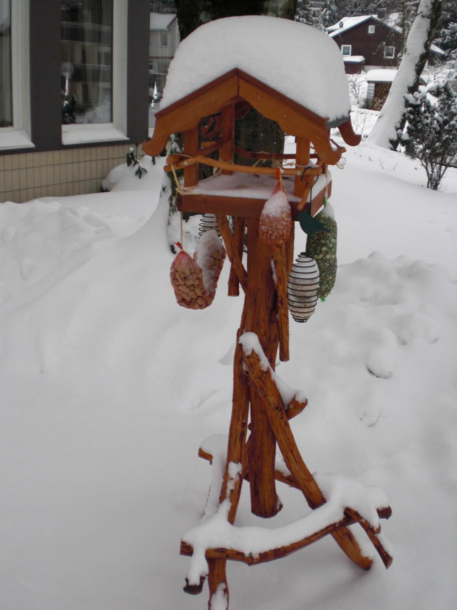 Landhaus Irmgard Braunlage Exteriör bild